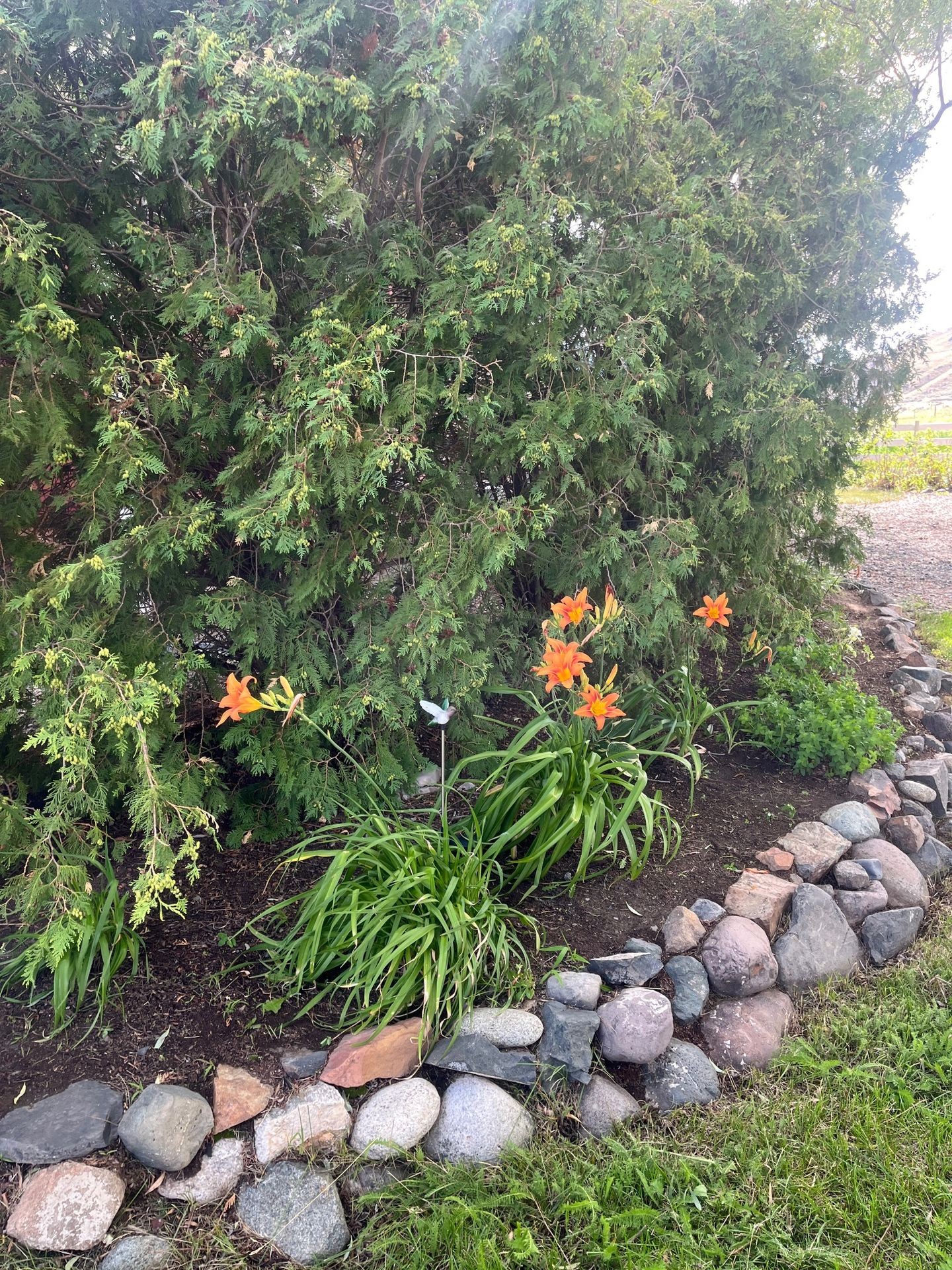 - Sally C, Thompson Rivers Estates