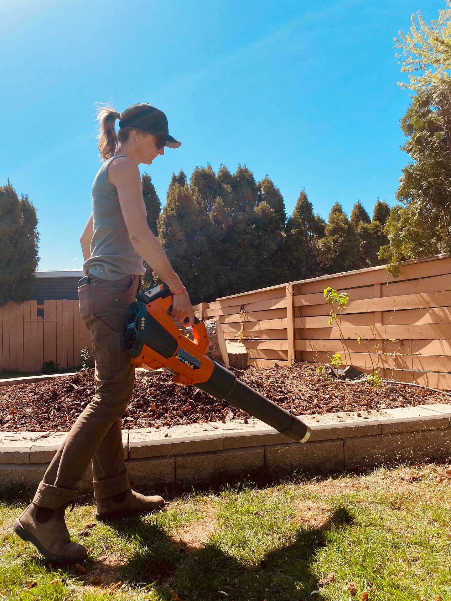 Yard Maintenance