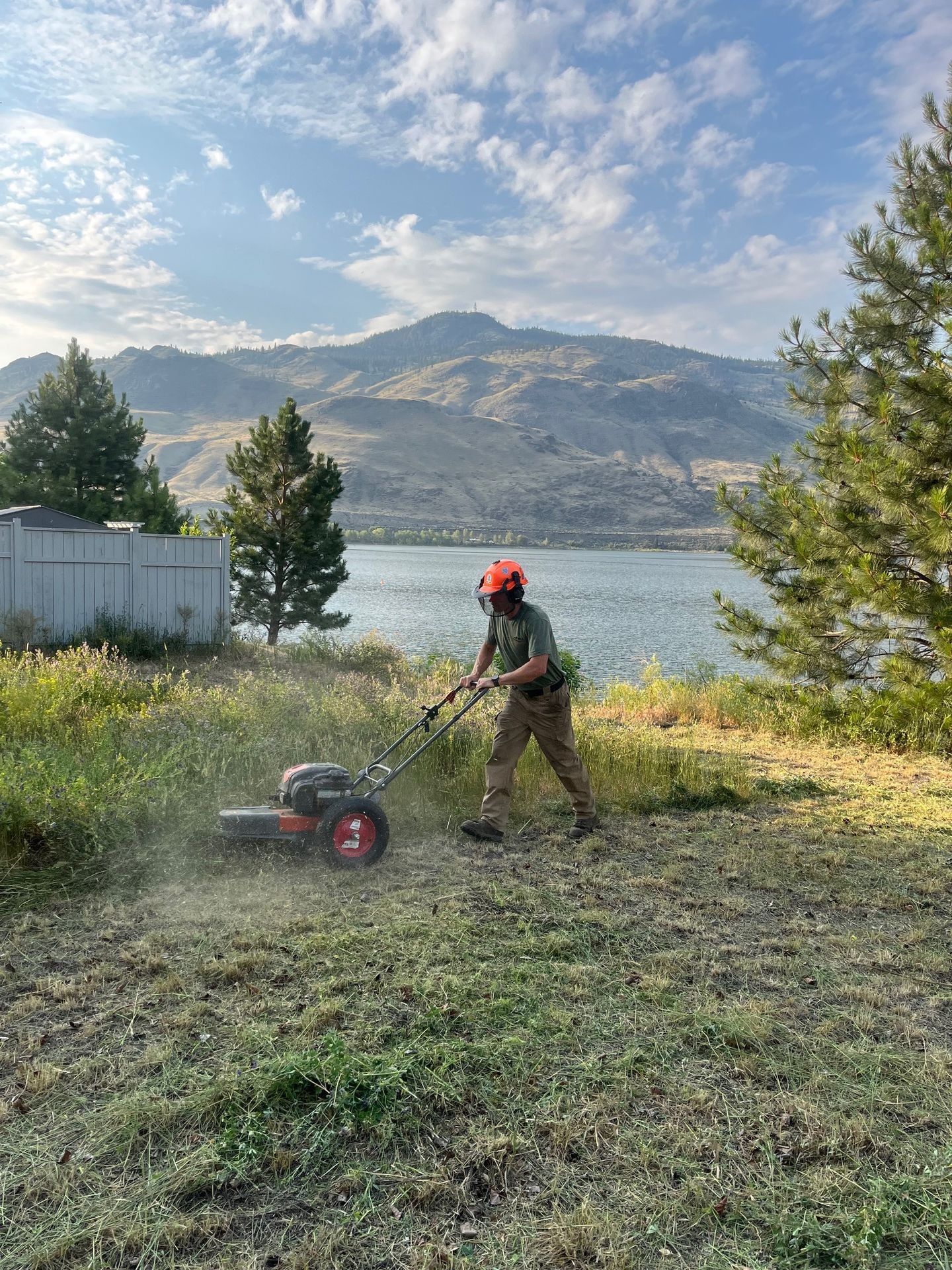 Yard Maintenance