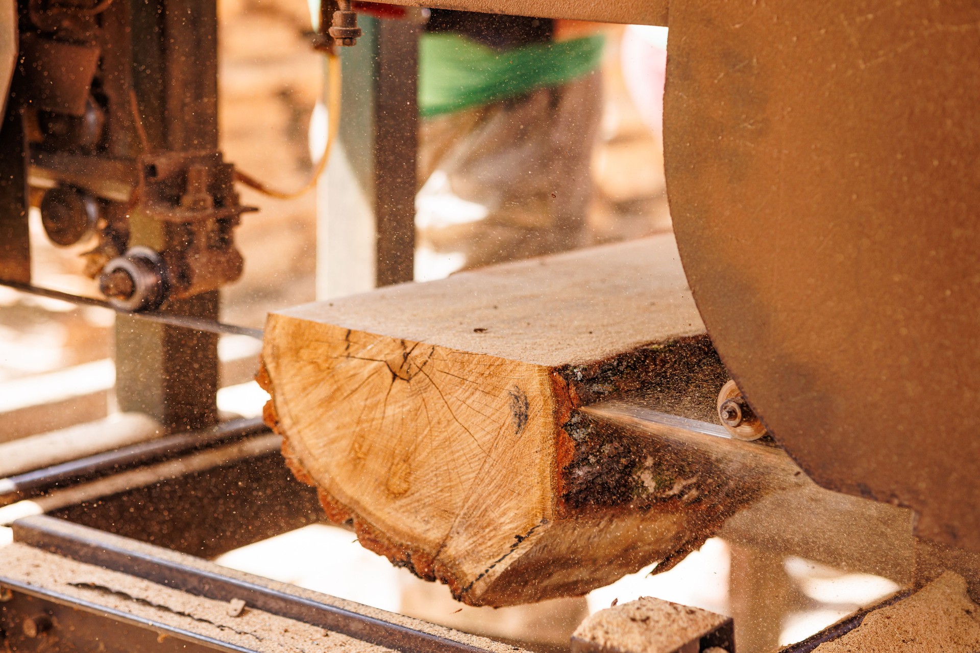 Close-up of sawing logs with a band saw at a sawmill